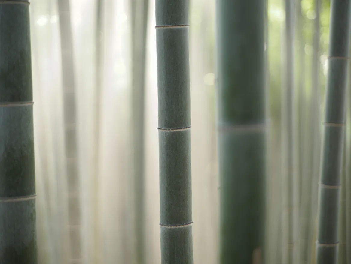 Abstrakt komposisjon av vertikale linjer med myke mellomrom som illustrerer stille observasjon